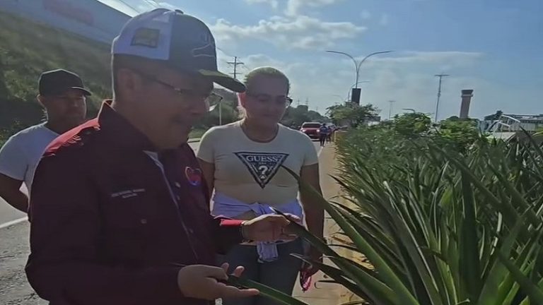 Cnel. José Manuel Suárez Maldonado: ¡No es solo siembra, es ayuda directa para las y los guaireños! Seguimos trabajando por nuestra gente +Video