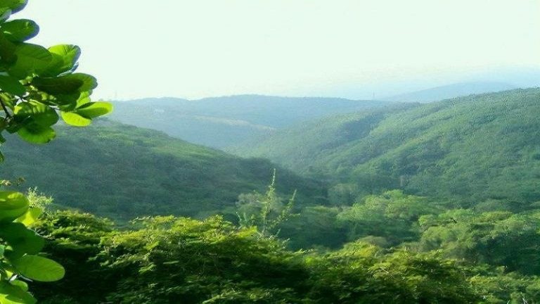 Ampliación del Parque Nacional Terepaima garantiza seguridad hídrica en Lara
