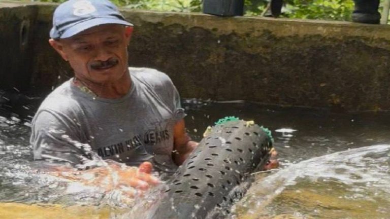 Comunidad de Caraballeda lidera reparación del Dique Toma El Caimito para restablecer servicio de agua +Fotos